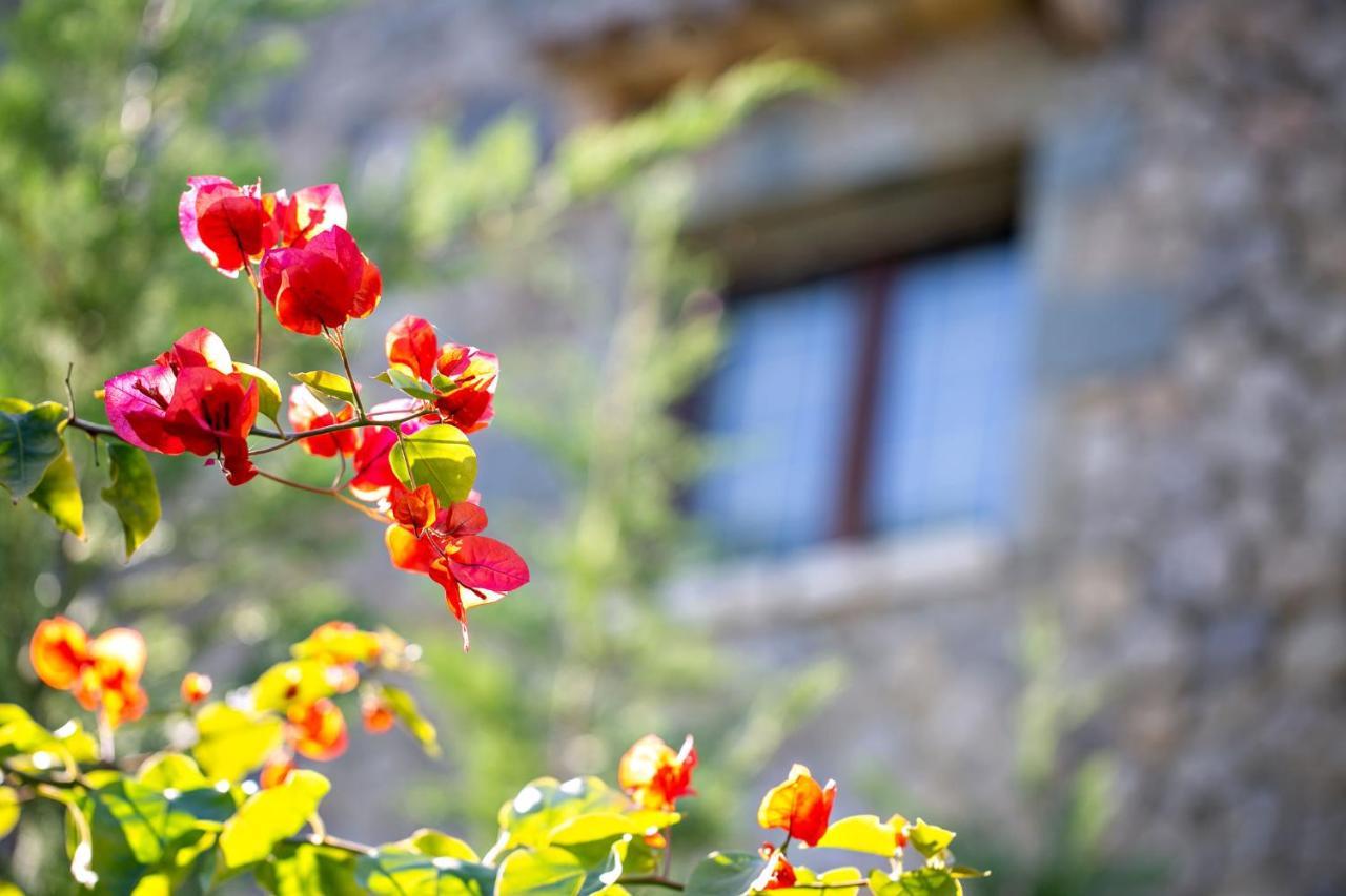 Filia Stone Villa ゴウヴィア エクステリア 写真
